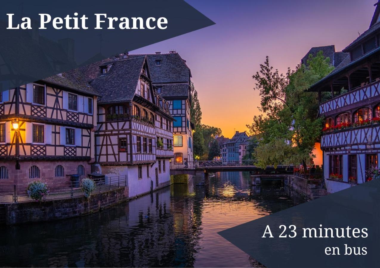 Le Reve Bleu - Golden Tree - Wifi - 15Min Centre Ville De Strasbourg Schiltigheim Eksteriør billede